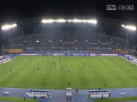 �г����� ��֧ͨ��VS÷�ݿͼ� 20240405