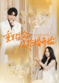 �������������鿪ʼ