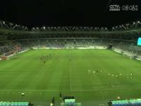 �������� ������������VS������� 20240629